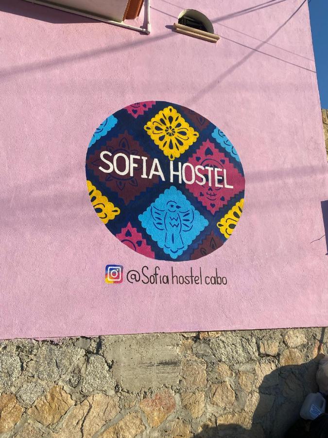 Sofia Hostel Cabo Cabo San Lucas Exterior foto